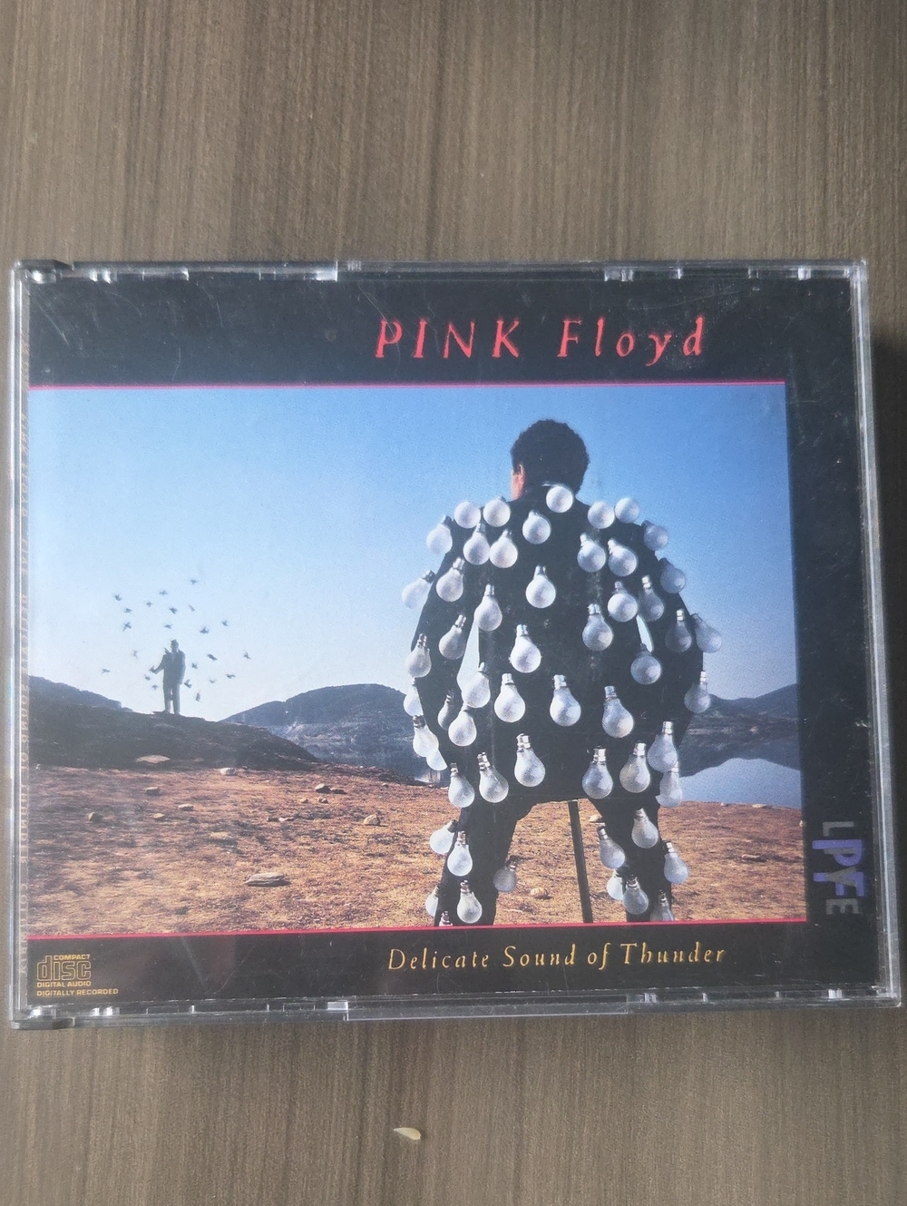 Pink Floyd Delicate Sound Of Thunder Two CD Set